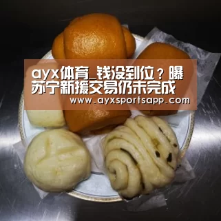 ayx体育_钱没到位?曝苏宁新援交易仍未完成 国际足联或将介入(图2) ayx体育_钱没到位?曝苏宁新援交易仍未完成 国际足联或将介入(图2)
