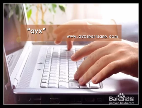 “ayx”(图1) AYX·爱游戏