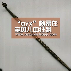 AYX·爱游戏