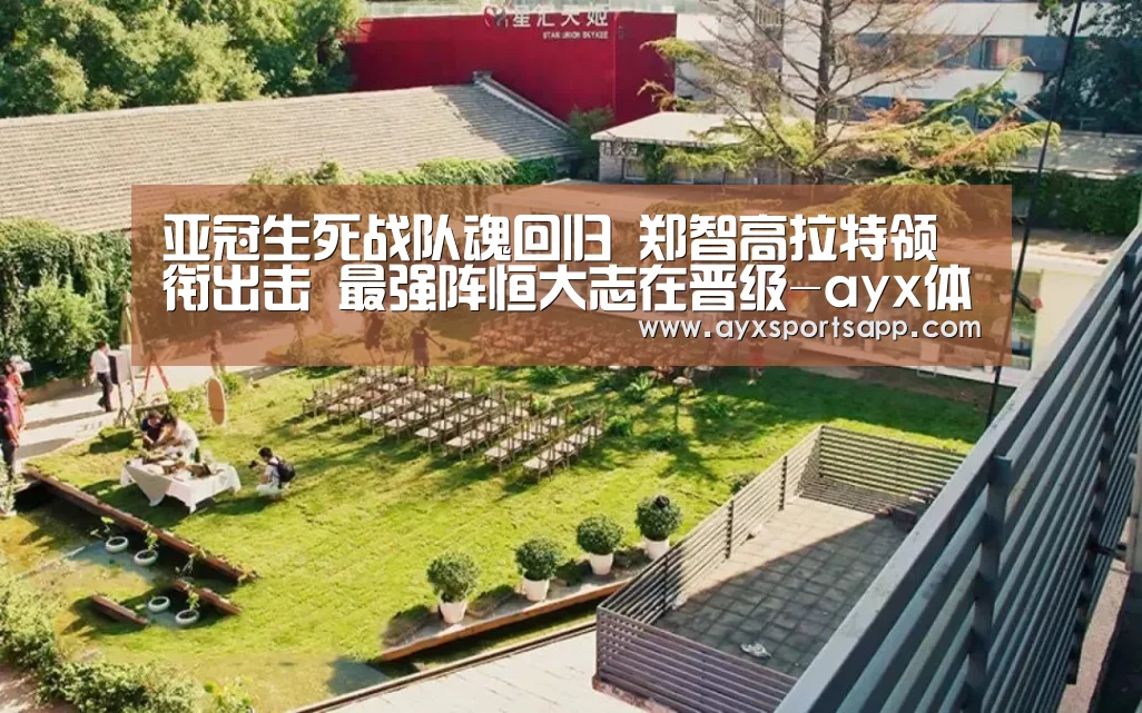 AYX·爱游戏