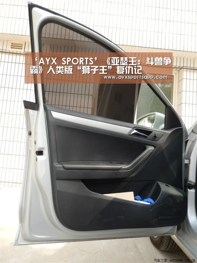 AYX·爱游戏