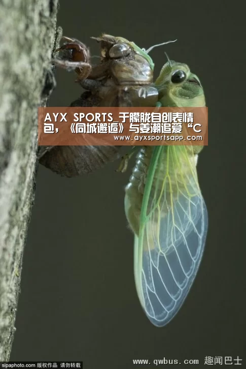 AYX SPORTS_于朦胧自创表情包，《同城邂逅》与姜潮追爱“CP”(图1)